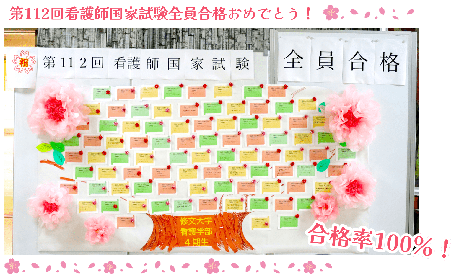 看護学部全員合格.png