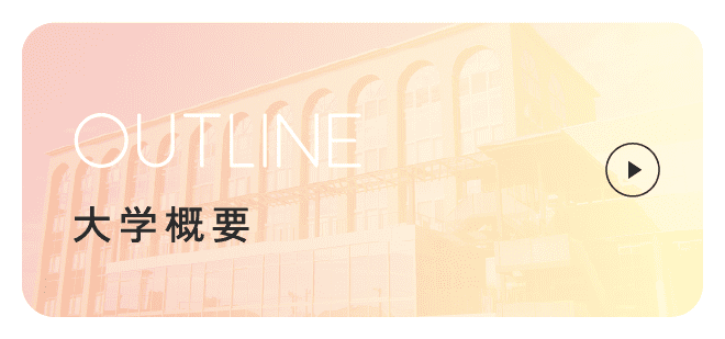 大学概要